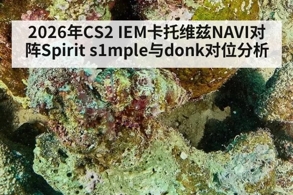 2026年CS2 IEM卡托维兹NAVI对阵Spirit s1mple与donk对位分析