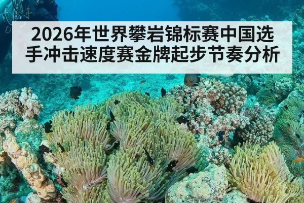 2026年世界攀岩锦标赛中国选手冲击速度赛金牌起步节奏分析